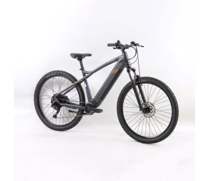Xplorer E-bike Everest 57