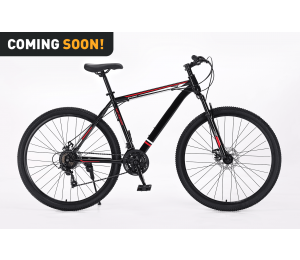 Xplorer MTB bicikl MATTERHORN Crni 29"