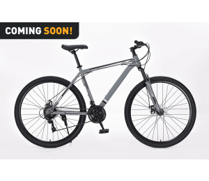 Xplorer MTB bicikl MATTERHORN Gray 29"