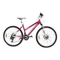 Bicikl MTB Reebok Freedom 26 17